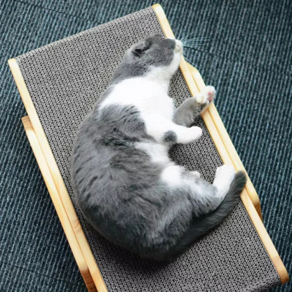 Tiragraffi a Dondolo per Gatti